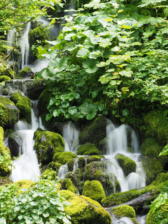 道北の旅～雨霧の滝_f0116528_2174938.jpg