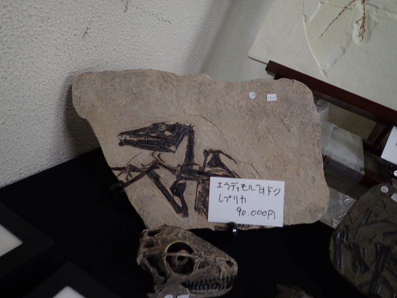 c0034029_89449.jpg