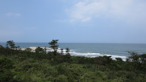 e0202031_22471332.jpg