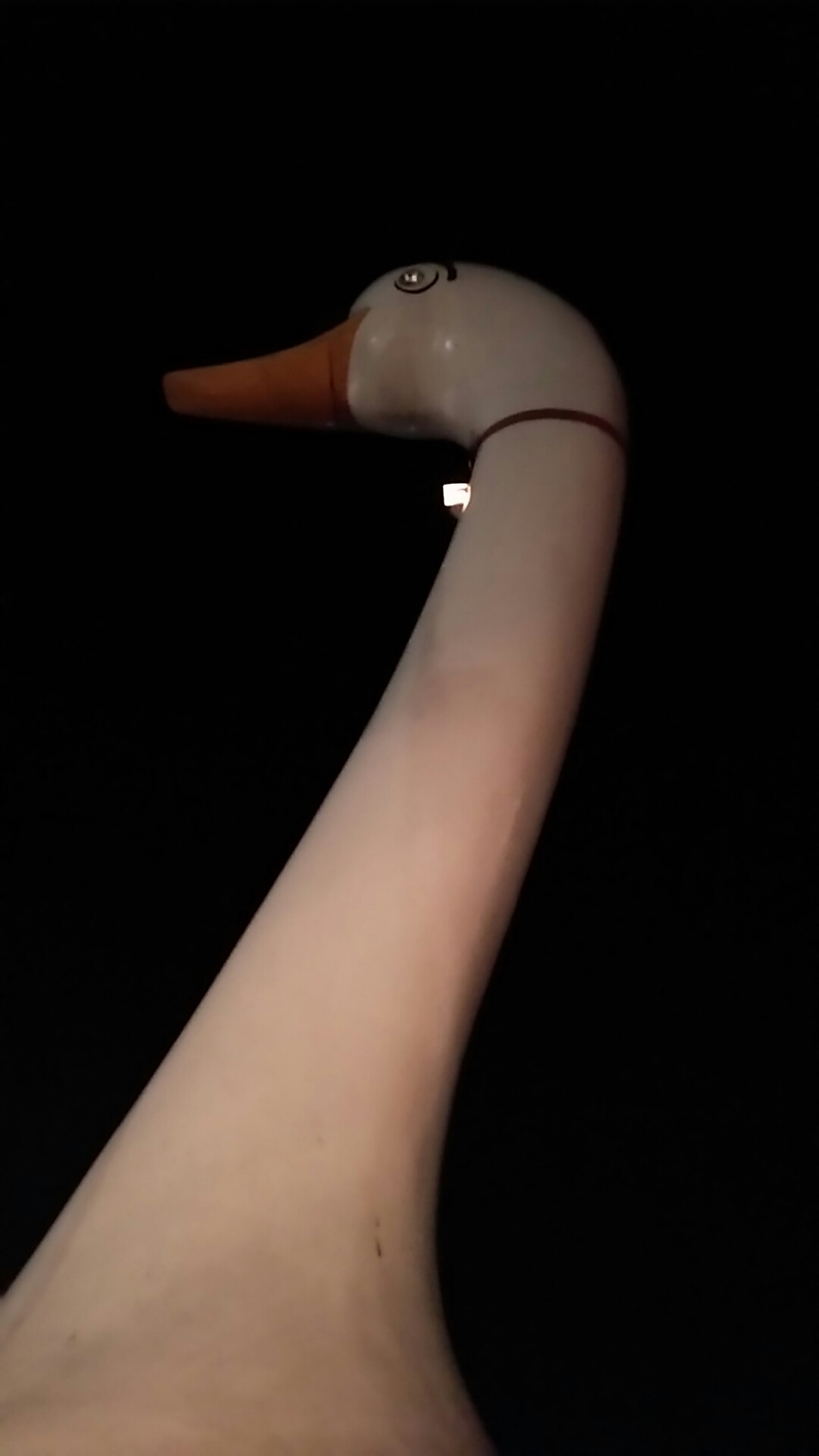 e0305834_23020294.jpg