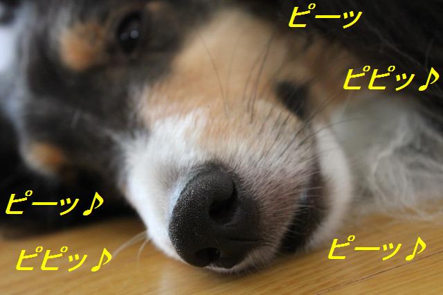 扇風機、使い方あれこれ_e0195743_106125.jpg