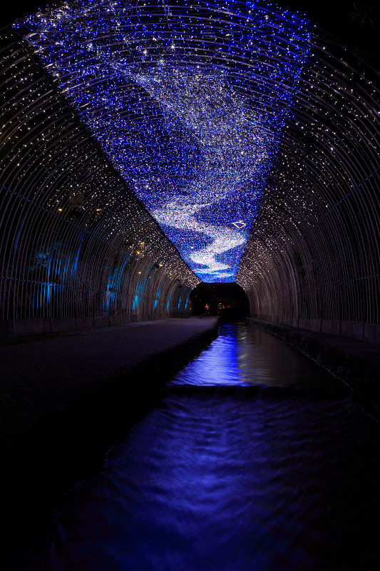 京の七夕 2015_f0155048_21553137.jpg