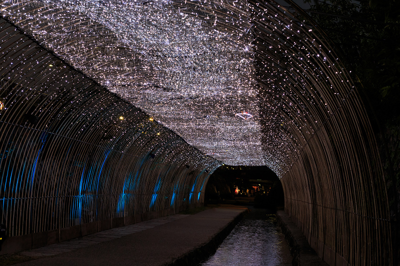 京の七夕 2015_f0155048_21562770.jpg