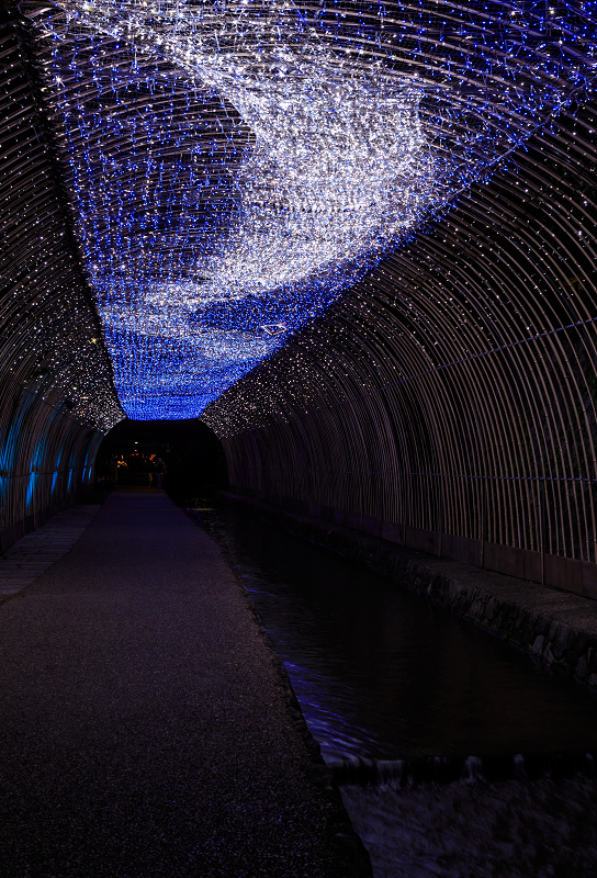 京の七夕 2015_f0155048_21583161.jpg