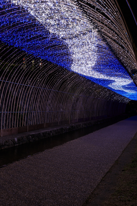 京の七夕 2015_f0155048_21585712.jpg