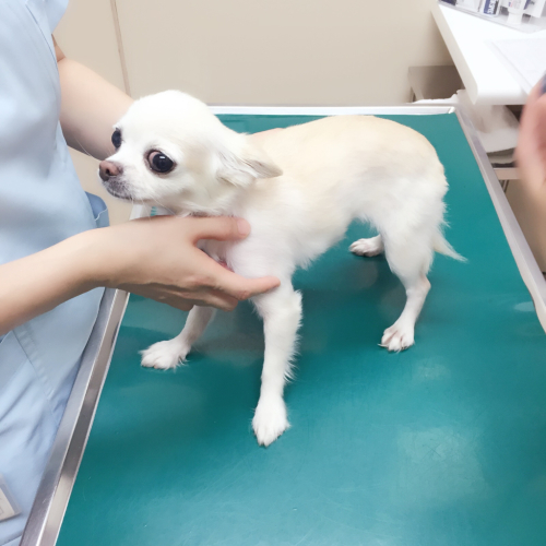 あちちのちゅわぴ〜_f0196753_23105269.jpg