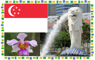シンガポールの国花 国旗 いろは幼稚園 In Singapore シンガポールの国花 国旗 いろは幼稚園 In Singapore
