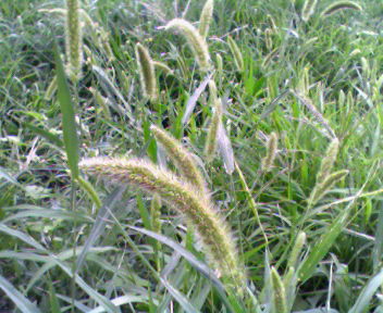 b0105259_21524724.jpg