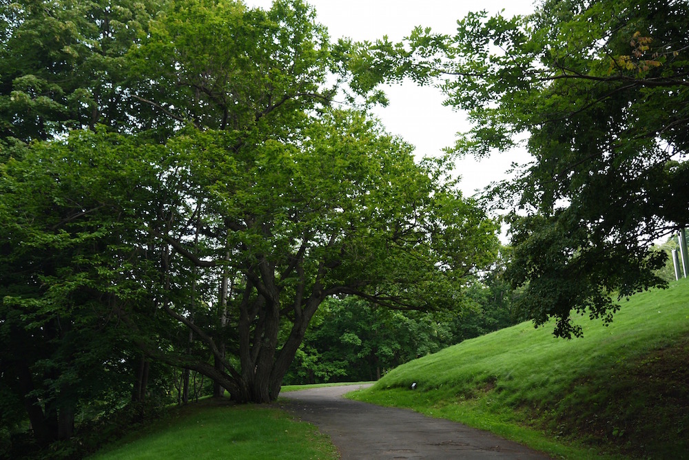 b0068572_115141.jpg