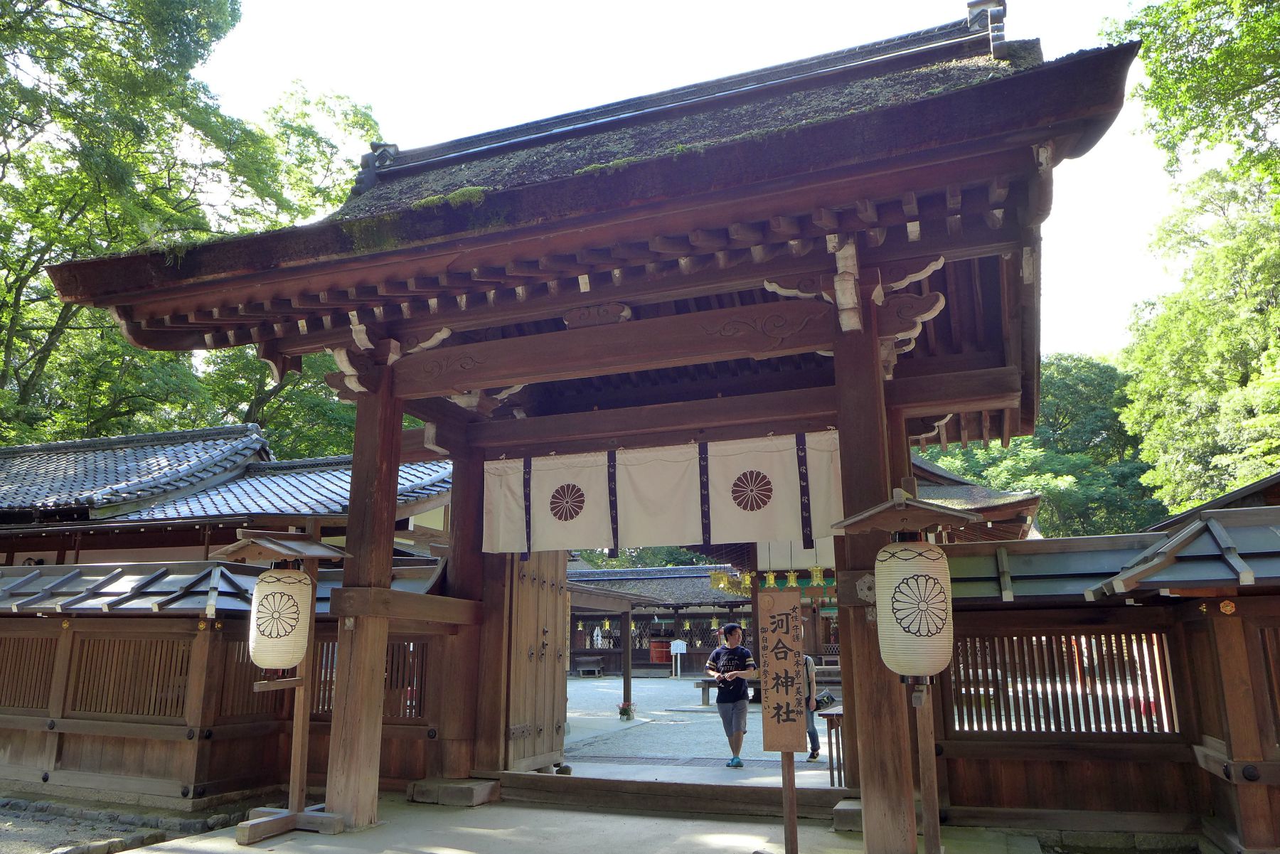 夏の京都@河合神社_a0127090_20324317.jpg