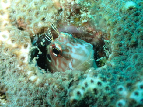 e0115199_16511981.jpg