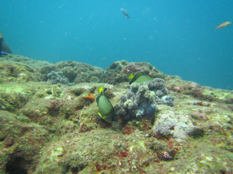 e0115199_16525880.jpg