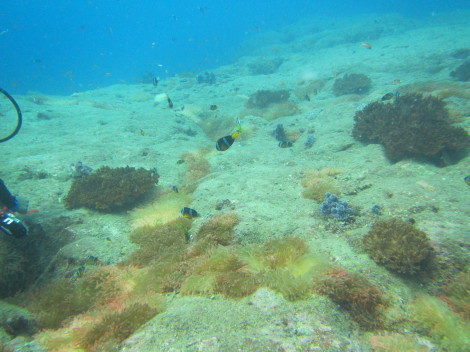e0115199_16592940.jpg