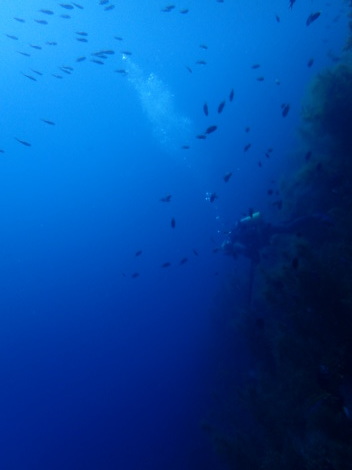 e0115199_18225401.jpg