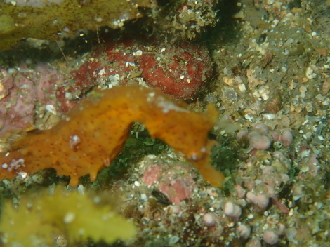 e0115199_18263344.jpg