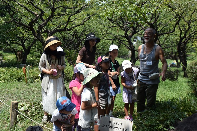 ネイチャークエストin芝公園2015夏_c0124100_16123654.jpg