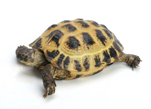 c0165803_18333021.jpg