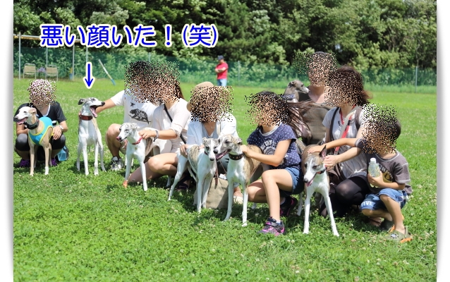 e0100007_8484181.jpg