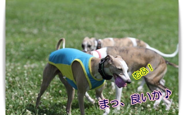 e0100007_848521.jpg
