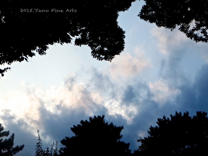 空を見なよ〜雲が流れて行く〜 ♬（in 小金井公園）_b0147808_18153129.jpg