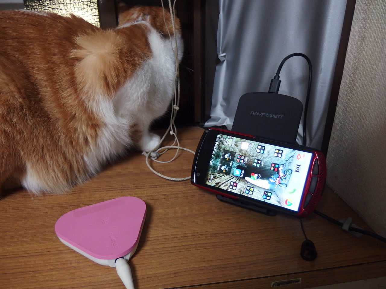 おニュウの充電器_f0141609_23404026.jpg