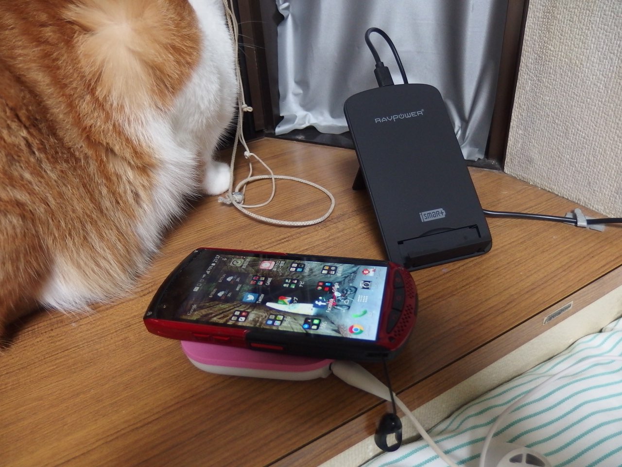 おニュウの充電器_f0141609_23404728.jpg