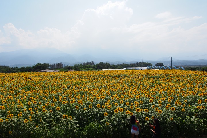 a0268412_22125613.jpg