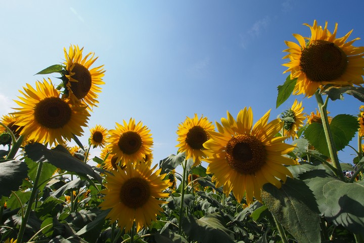 a0268412_22125963.jpg