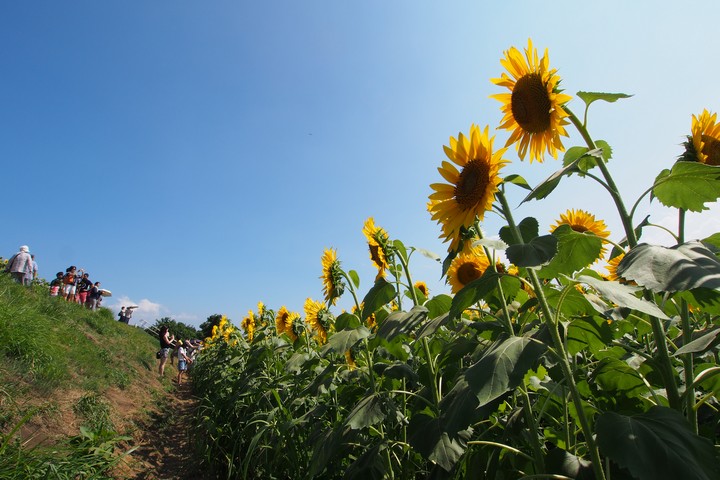 a0268412_2213267.jpg