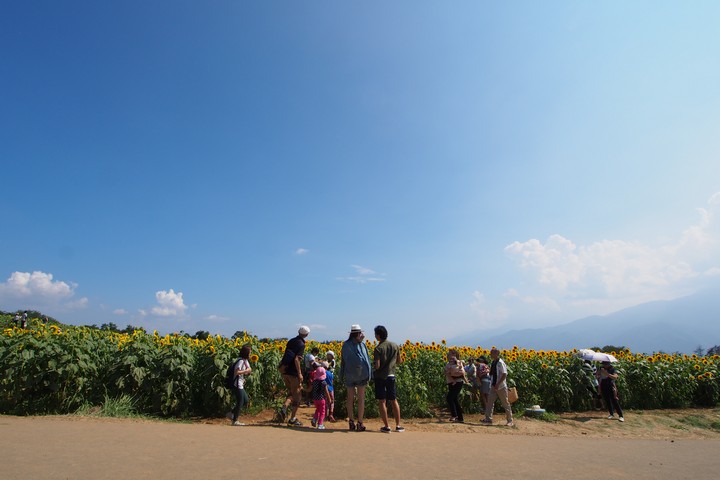 a0268412_2213991.jpg