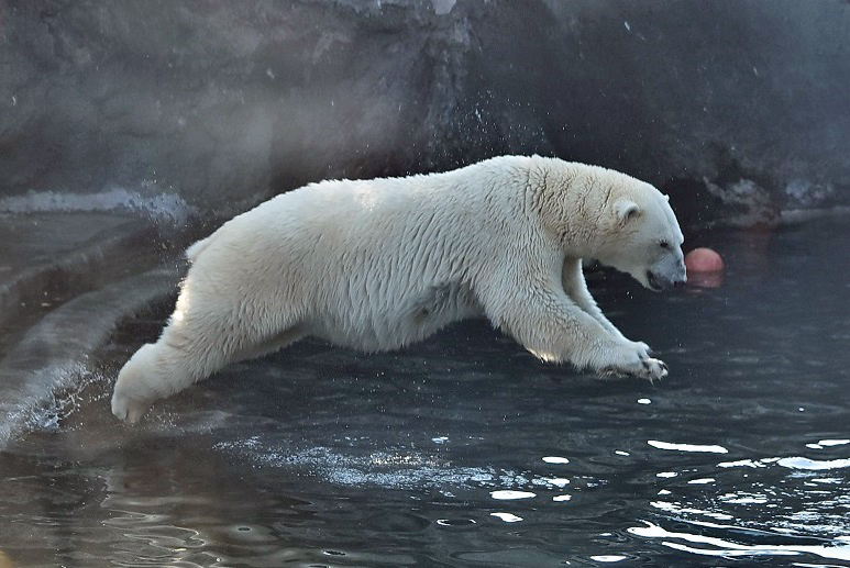 a0151913_428292.jpg