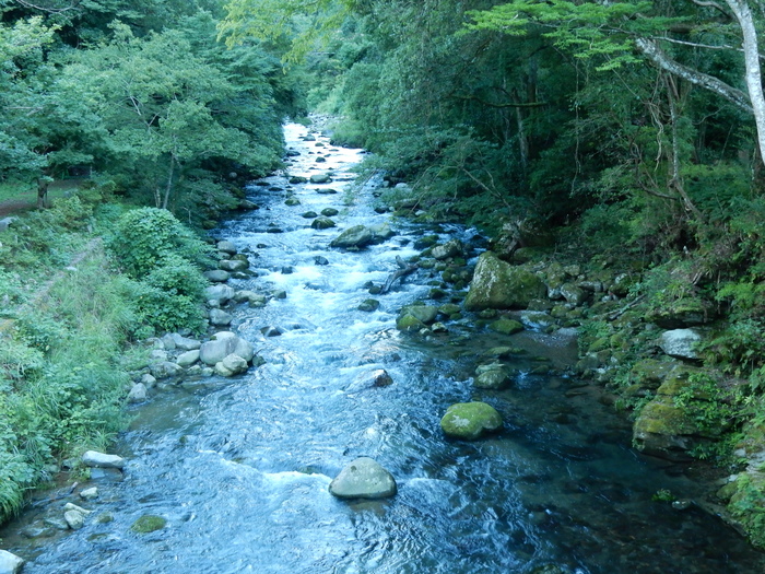 f0182513_2181597.jpg