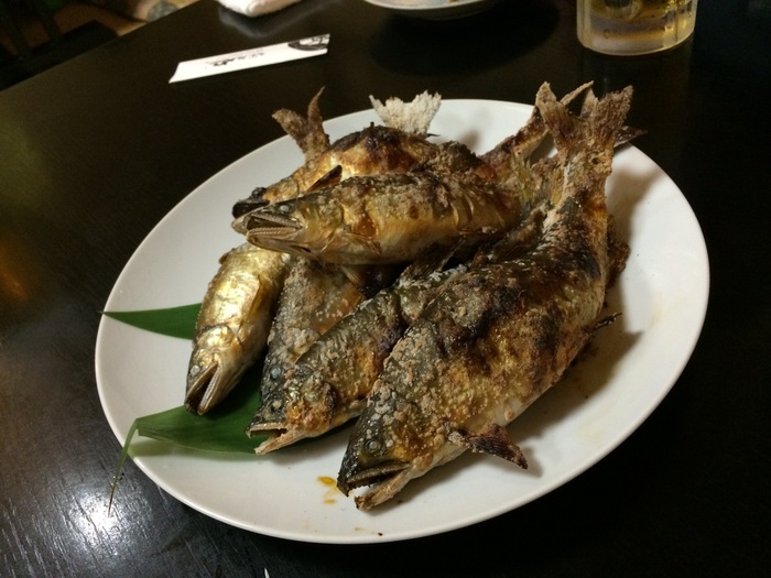 デブ鮎_b0150120_1837285.jpg