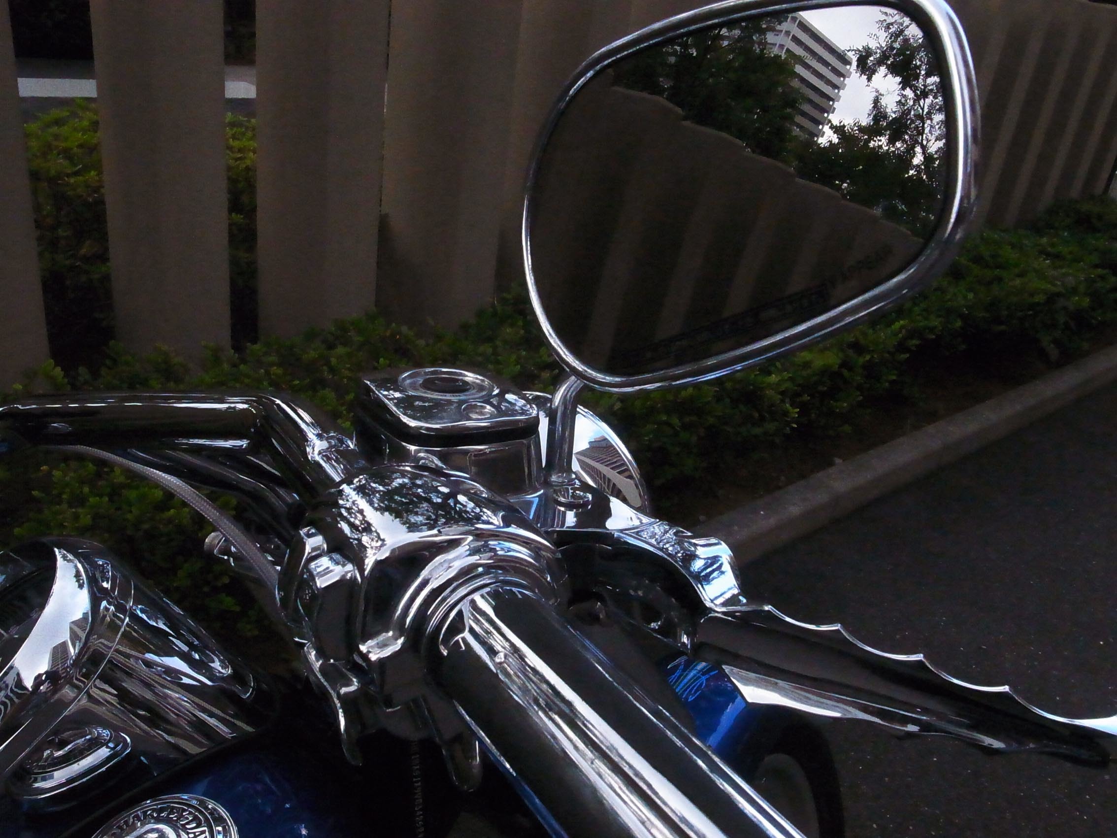 b0310424_12531732.jpg
