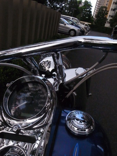 b0310424_12531801.jpg