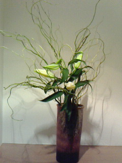 雲竜柳 生け花 草月流 東京都府中市 いけばなレッスン 花のノート