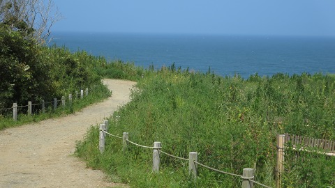 e0202031_22233153.jpg