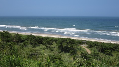 e0202031_22235581.jpg
