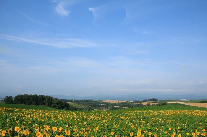 f0327034_08120815.jpg