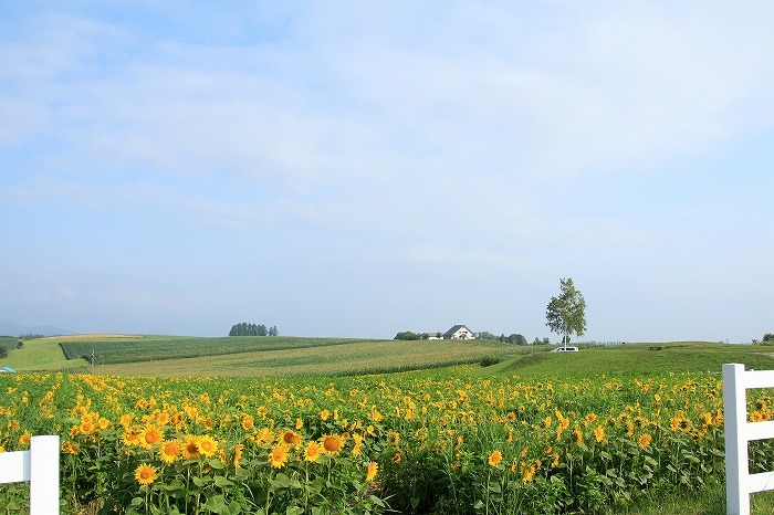 f0327034_08122029.jpg