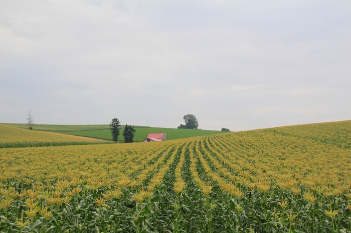 f0327034_08122541.jpg