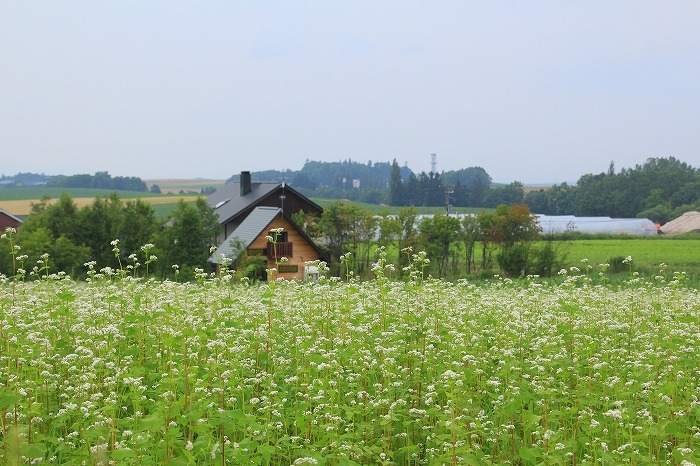 f0327034_08122897.jpg
