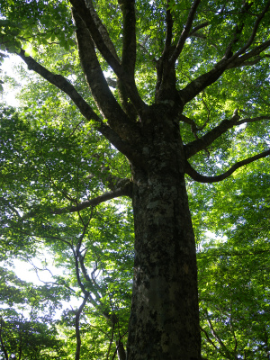 e0272335_84245.jpg