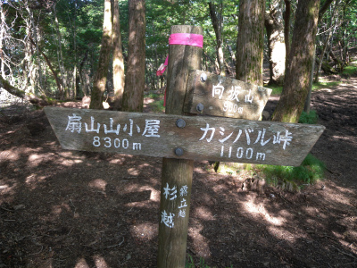 e0272335_92201.jpg