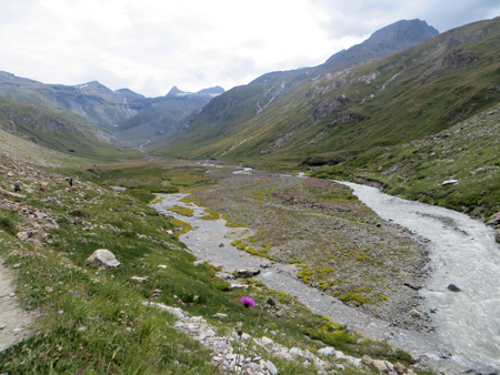 カモシカとエーデルワイスに会える山道、フランスアルプス ヴァノワーズ渓谷_f0234936_6142867.jpg