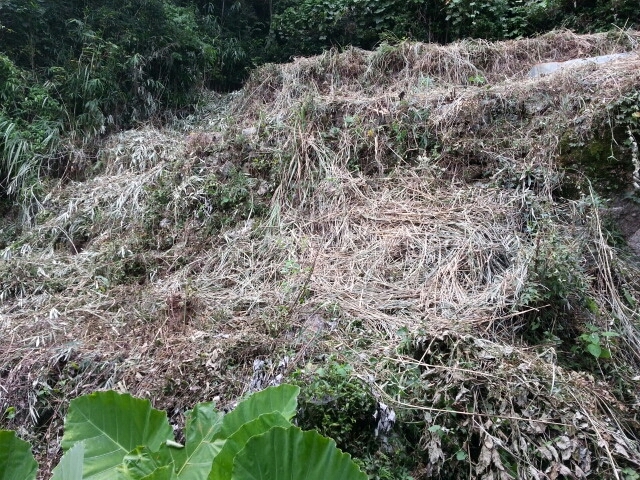 c0330749_06271254.jpg