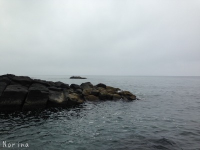 増毛のエビ、えび、海老、ウニ♪_e0326953_11471715.jpg