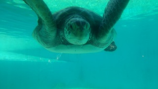 2015夏休み_b0105458_11485029.jpg