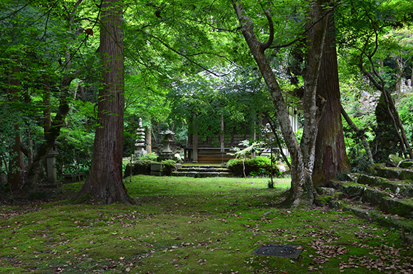 石場寺かいわい_e0164563_91282.jpg