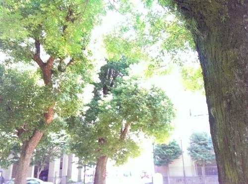 c0019268_00555051.jpg